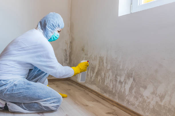 Licensed Mold Remediation service in Lansdale, PA - WQB Mold Removal