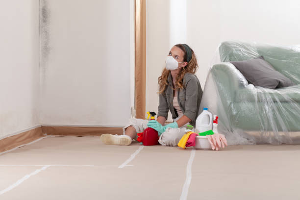 Reliable Mold Remediation contractor in Lansdale, PA by WQB Mold Removal